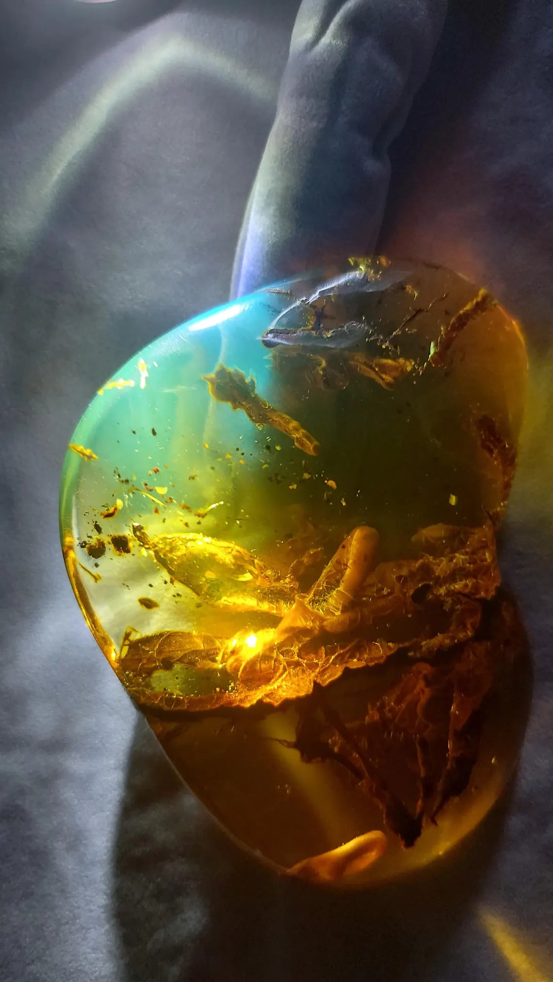 Dominican Blue Amber with Prehistoric Reptile Inclusion