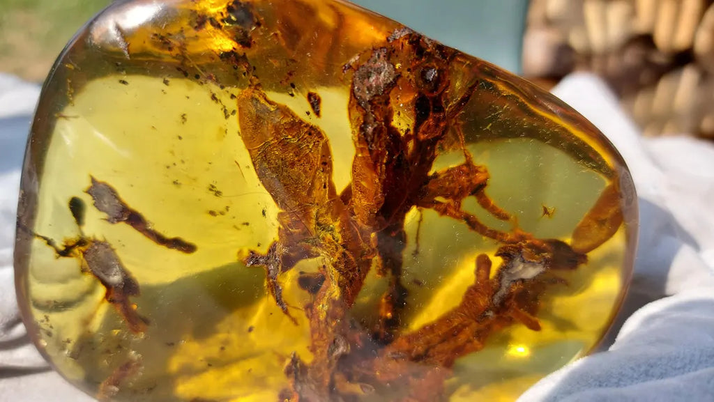 Dominican Blue Amber with Prehistoric Reptile Inclusion