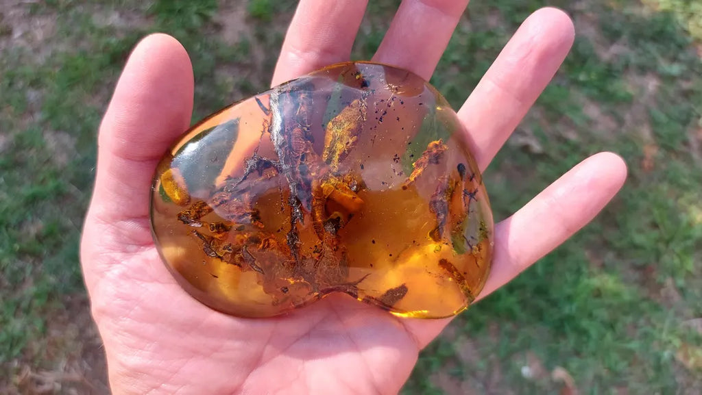Dominican Blue Amber with Prehistoric Reptile Inclusion