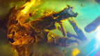 Dominican Blue Amber with Prehistoric Reptile Inclusion