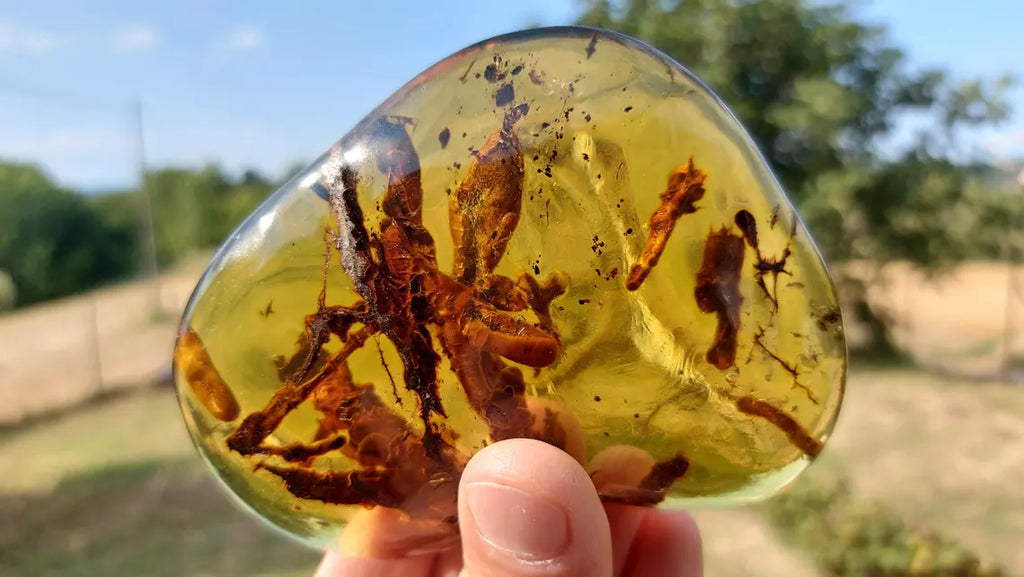 Dominican Blue Amber with Prehistoric Reptile Inclusion